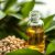 Olejek jojoba – naturalny emolient dla zdrowej skóry i włosów