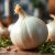 Cebula perłowa – właściwości zdrowotne i zastosowanie w kuchni