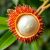 Rambutan – odkryj egzotyczny owoc i jego zdrowotne właściwości